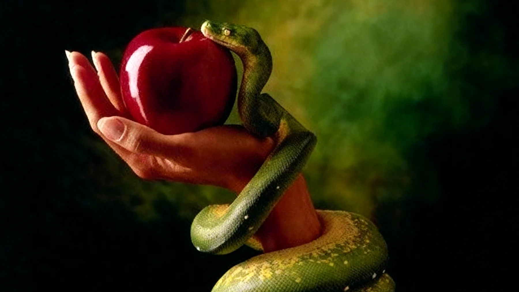 Forbidden Fruit2025-12-15T11:24:19.271Z"