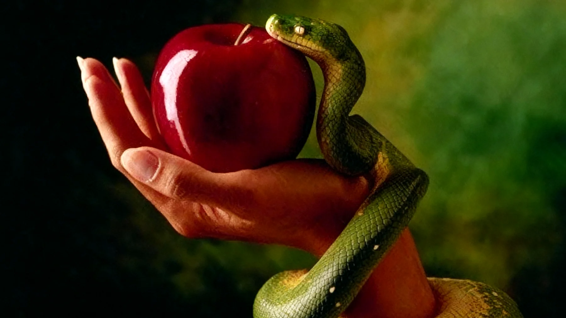 Forbidden Fruit2025-12-28T16:49:06.809Z"