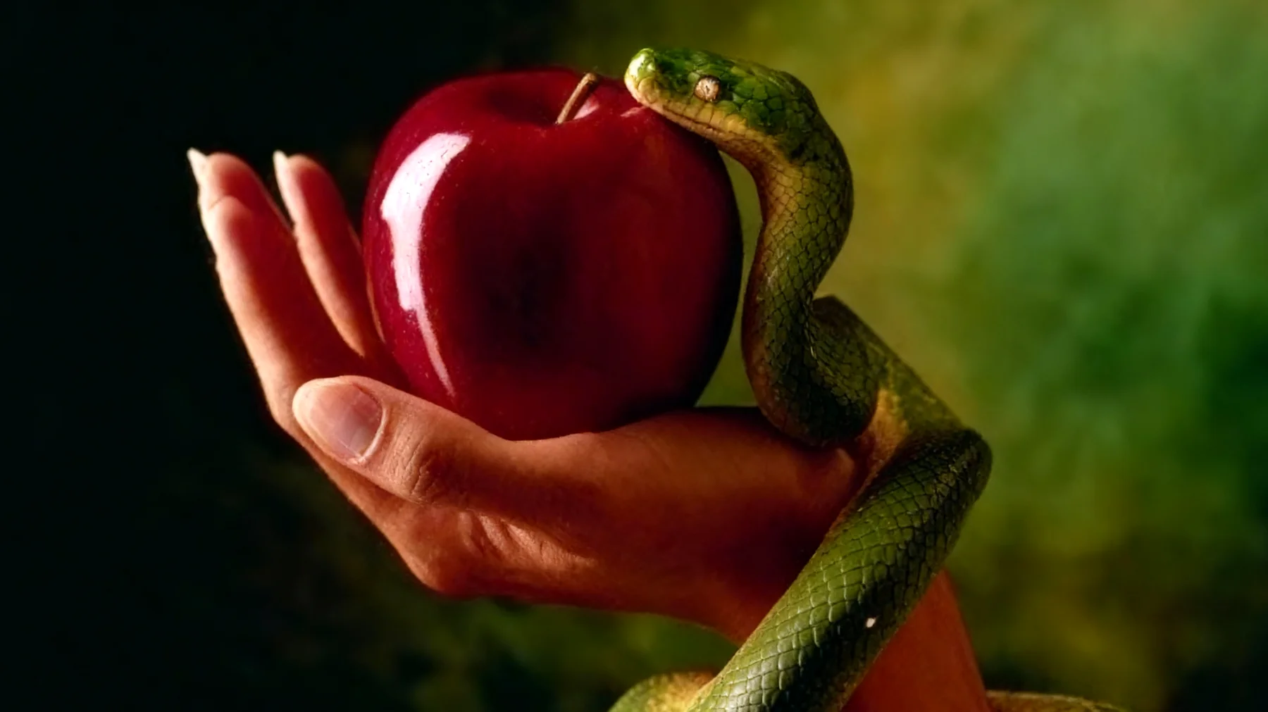 Forbidden Fruit2025-12-30T16:49:41.145Z"