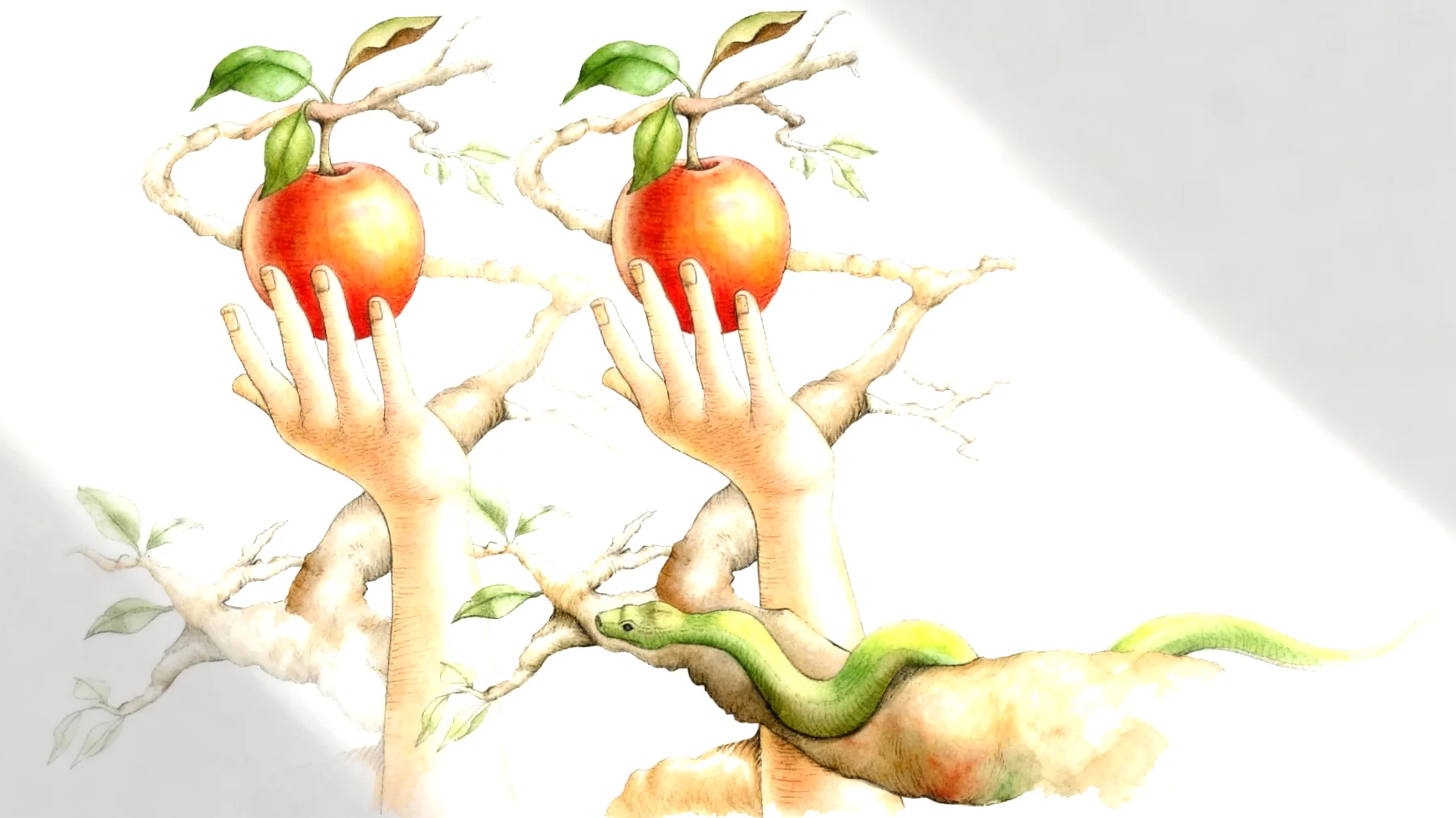 Forbidden Fruit2026-01-01T16:54:34.731Z"