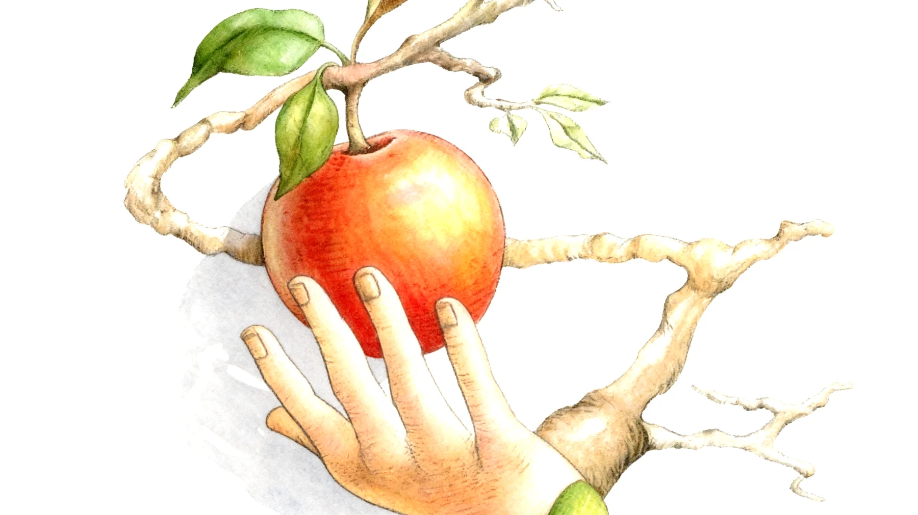 Forbidden Fruit2026-01-02T16:49:01.389Z"