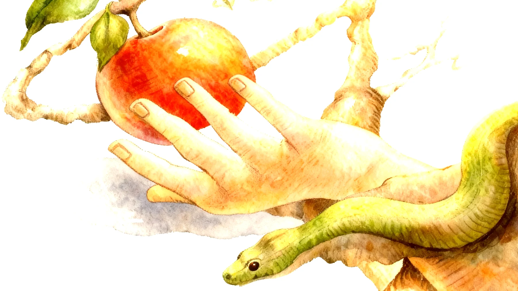 Forbidden Fruit2026-01-04T16:53:43.257Z"